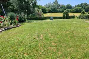 ***Freistehend, mit Einliegerwohnung, Garage, ruhige Sackgassenlage*** – Holmbacherstr. 0, 32839 Höxter (Kreis) – Vorschaubild 4