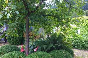 Fantastisches Familiendomizil: 2 EFH mit Garage, Carport u. wunderschönen Garten in 79263 Simonswald – Emmendingen (Kreis) – Vorschaubild 58
