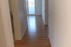 Schöne, helle 3 Zimmerwohnung mit hochwertiger Ausstattung – Robert-Bosch-Straße 18 A, 64293 Darmstadt-Nord, Darmstadt – Vorschaubild 3