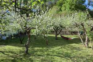 Charmantes Einfamilienhaus mit modernem Komfort und traumhaftem Gartenidyll – Kleines Binsach 9, 74219 Heilbronn (Kreis) – Vorschaubild 17