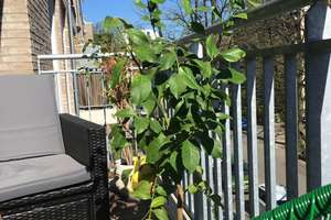 Exklusive 4-Raum-Wohnung mit gehobener Innenausstattung mit Balkon und Einbauküche in Hamburg Eilbek
