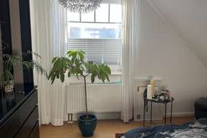 Reserviert - Haus in Lübeck Groß Steinrade zu verkaufen – Die vollständige Adresse der Immobilie erhältst du vom Anbieter., 23556 Sankt Lorenz Nord, Lübeck – Vorschaubild 15