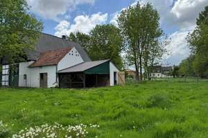 Tierliebhaber aufgepasst ! – Die vollständige Adresse der Immobilie erhältst du vom Anbieter., 59505 Bad Sassendorf – Vorschaubild 5