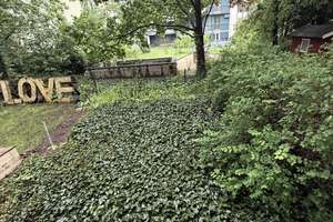 Vermietete Kapitalanlage nähe Schlossstraße – Zimmermannstraße 15, 12163 Steglitz, Berlin – Vorschaubild 3