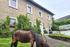 Freistehendes Bauernhaus für 1-2 Familien, mit viel Platz zur Tierhaltung – Die vollständige Adresse der Immobilie erhältst du vom Anbieter., 95356 Grafengehaig – Vorschaubild 1
