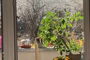 Martinsviertel, 2 ZW, Westbalkon, Gartenmitbenutzung – Die vollständige Adresse der Immobilie erhältst du vom Anbieter., 64289 Darmstadt-Nord, Darmstadt – Vorschaubild 1