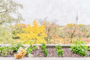 Property thumbnail 19