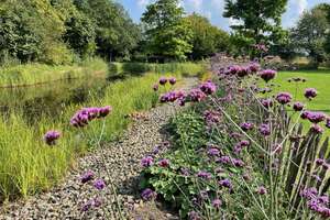 Property thumbnail 14