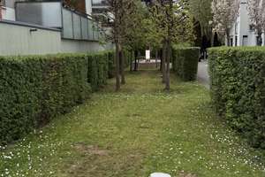 *** TOP-Lage in Wiesbaden *** Frei ab Sept. 2026 *** 4-Zi-Whg. mit Balkon, Parkett und 2 TG-Spl. *** – Die vollständige Adresse der Immobilie erhältst du vom Anbieter., 65197 Rheingauviertel / Hollerborn, Wiesbaden – Vorschaubild 28