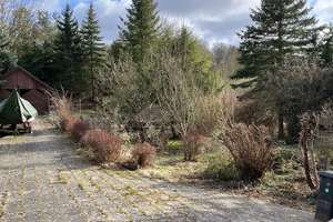 Großzügiges Zweifamilienhaus in ruhiger, grüner Randlage von Boitzenburg (UM) – Mühlenweg 12, 17268 Boitzenburger Land – Vorschaubild 5