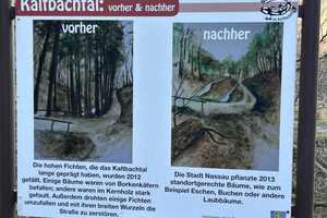 Einladendes Einfamilienhaus mit viel Charme, in naturnaher Ortsrandlage von Nassau an der Lahn – Rhein-Lahn-Kreis – Vorschaubild 30