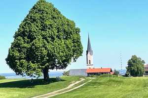 Property thumbnail 18