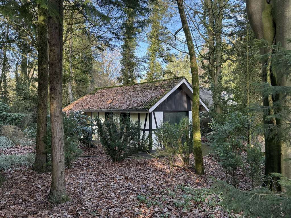 Immobilie in Kirchseelte - Toller Bungalow auf großem Grundstück, Garage - Bild 4