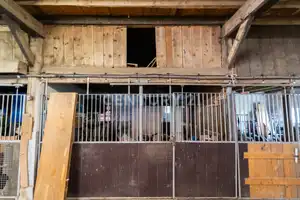 Wohnen, Pferdehaltung, Traumgrundstück: Mehrgenerationen-Landhaus! – Kleve (Kreis) – Vorschaubild 54