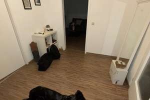 Alltagstaugliche 3-Zimmer-Wohnung in Berlin Marienfelde – Friedenfelser Straße 7, 12279 Marienfelde, Berlin – Vorschaubild 5