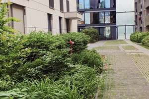 2-Raum-Wohnung in Berlin Tiergarten mit Gartenanteil – Die vollständige Adresse der Immobilie erhältst du vom Anbieter., 10555 Hansaviertel, Berlin – Vorschaubild 10