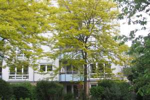 2-Zimmer-Erdgeschoss-Wohnung mit Gartenanteil  „am Lanzgarten“ – Lindenhofstr. 106, 68163 Lindenhof, Mannheim – Vorschaubild 2