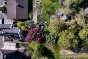 Wohlfühlen: Charmantes 7-Zi.-EFH mit Kamin, Einliegerwohnung und großem Grundstück – Köln – Vorschaubild 19