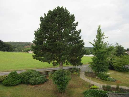 Ausblick 2 Ausblick 2