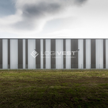 Logistik- und Industriehalle mit Krananlage