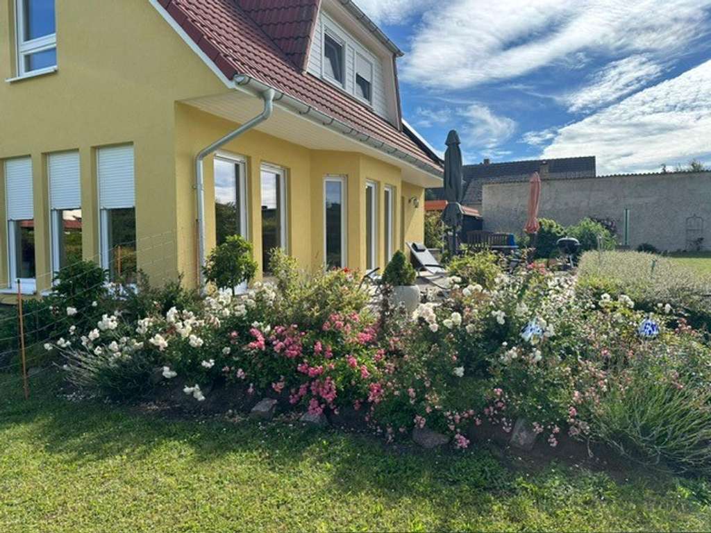 Immobilie in Boitzenburger Land - Modernes Einfamilienhaus mit 1.800 m² Garten + 3.300 m² Ackerland/Wiese – vielseitig nutzbar - Bild 3