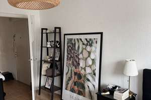 (Nur für Einzelpersonen) Helle Wohnung mit Balkon im 4. OG in Düsseldorf Pempelfort – Die vollständige Adresse der Immobilie erhältst du vom Anbieter., 40477 Pempelfort, Düsseldorf – Vorschaubild 1