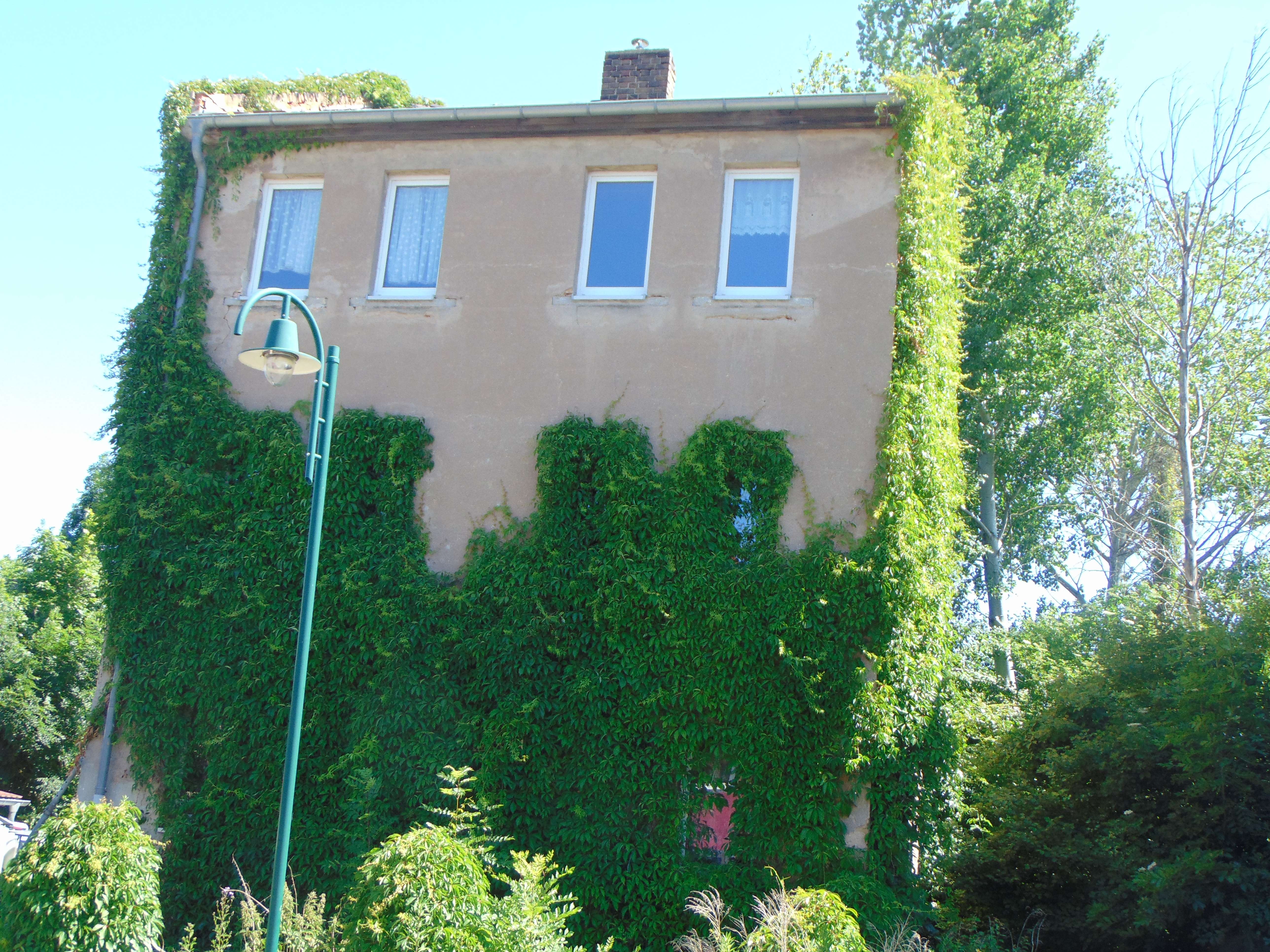 ***Ein ausbaufähiges 3- Familien Haus, Altenburger Land Kreis – Bild 2