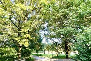 Property thumbnail 39