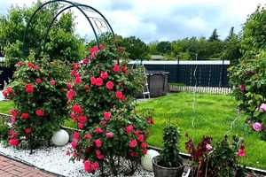 5 Zimmer Haus in Blankenburg mit wunderschönem Garten und Aufstellpool – Berlin – Vorschaubild 10