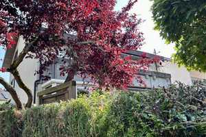 Wunderschönes Haus mit Einliegerwohnung in begehrter Lage  – Heilbronn – Vorschaubild 3