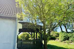 Einfamilienhaus mit Einliegerwohnung auf 1 Hektar Anwesen - für Naturliebhaber & Selbstversorger! – Märkisch-Oderland (Kreis) – Vorschaubild 36