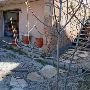 Immobilien zum Verkauf in Collado Villalba