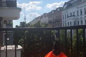 Property thumbnail 6