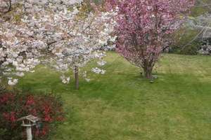 Property thumbnail 31