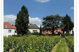 🏡 Exklusive Wohnresidenz nahe Clay Kaserne – Hochwertiges Wohnen in Hochheim am Main – Die vollständige Adresse der Immobilie erhältst du vom Anbieter., 65239 Hochheim am Main – Vorschaubild 2