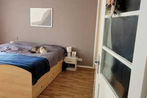 Schöne 3-Zimmer-Wohnung in Dresden – Hepkestraße 38, 1309 Dresden – Vorschaubild 11
