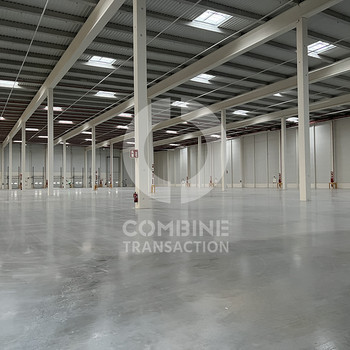 Logistikneubau ca. 10.000 m² zu vermieten - combine Transaction!