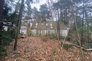 Architektenhaus von Paul Friedrich Nieß – denkmalgeschütztes Unikat auf parkähnlichem Grundstück – Senheimer Straße 53A, 13465 Frohnau, Berlin – Vorschaubild 4