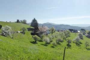 Wohnen mit toller Alpensicht – Lörrach (Kreis) – Vorschaubild 5
