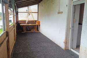 Kurzfristig beziehbares  1 FH mit Garage und Anbau in Ottweiler OT Steinbach – Die vollständige Adresse der Immobilie erhältst du vom Anbieter., 66564 Ottweiler – Vorschaubild 4