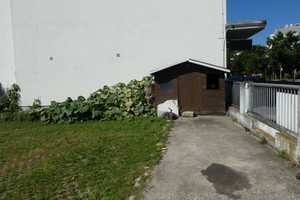3-Familien-Haus mit Einliegerwohnung in Ludwigshafen zentrumsnah – Ein Top-Investment mit Ausbaupote – Ludwigshafen am Rhein – Vorschaubild 39