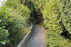 Ruhige 2,5 Zi. Südblakon u. Nordbalkon Wohnung  – Erlbachstraße 13, 81249 Lochhausen, München – Vorschaubild 18