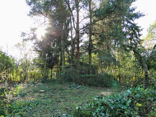 905 m² Grundstück - Bauerwartungsland - Bild 3