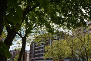 Helles 1-Zimmerappartement mit Balkon zu vermieten – Matthiashofstr. 51, 52064 Theater, Aachen – Vorschaubild 8