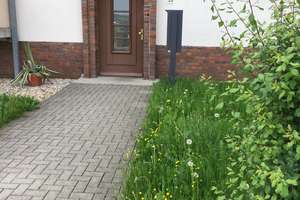 Mieter ab 1.10. gesucht / Zzgl. EBK *** - 1. OG - Balkon - Bad mit Dusche – Sachsenring 23, 9127 Gablenz, Chemnitz – Vorschaubild 15