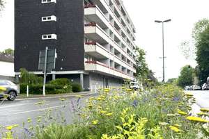 Borbeck Mitte*Immobilienpaket*Praxis*mögliche Wohnnutzung nach Genehmigung* 3 ETW * 2 Stellplätze * – Otto-Brenner-Straße 44-46, 45355 Bochold, Essen – Vorschaubild 7
