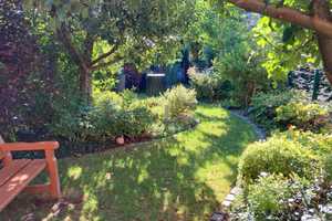 Im Sommer im eigenen Garten – Weimar – Vorschaubild 3