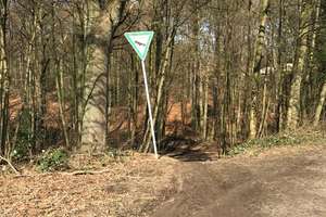 Freistehendes Einfamilienhaus in Reinshagen – Garten & Wohnen im Grünen – 42857 Reinshagen, Remscheid – Vorschaubild 33