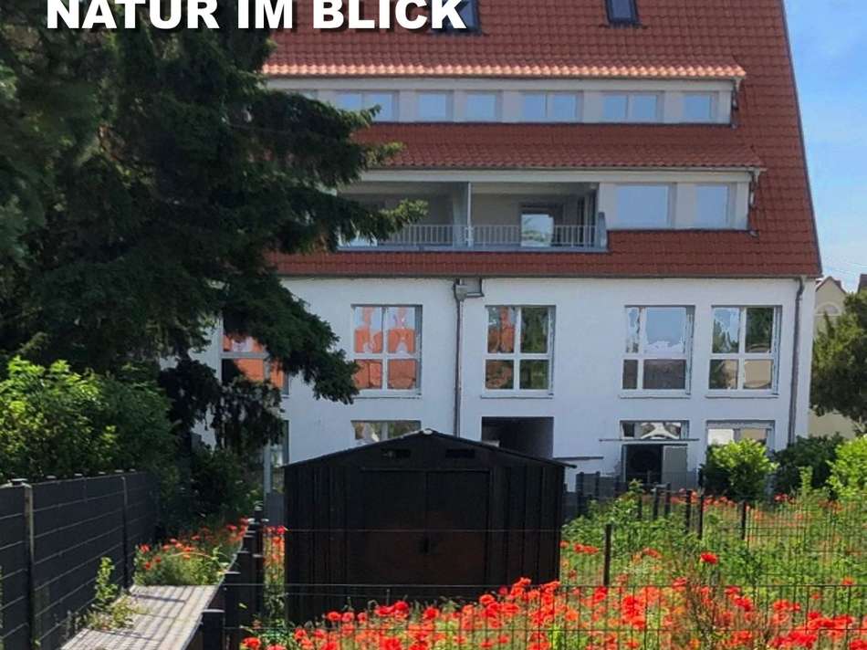 Gartenseite