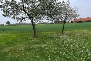 Bauernhof mit arrondierten Weide- und Ackerflächen, ideal für Pferdehaltung – Die vollständige Adresse der Immobilie erhältst du vom Anbieter., 31592 Stolzenau – Vorschaubild 24